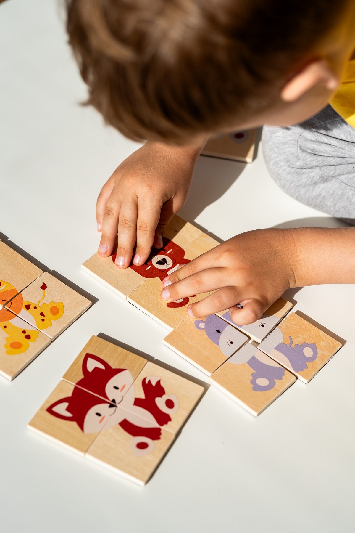 Magnetische puzzels dieren - Tix&Mix